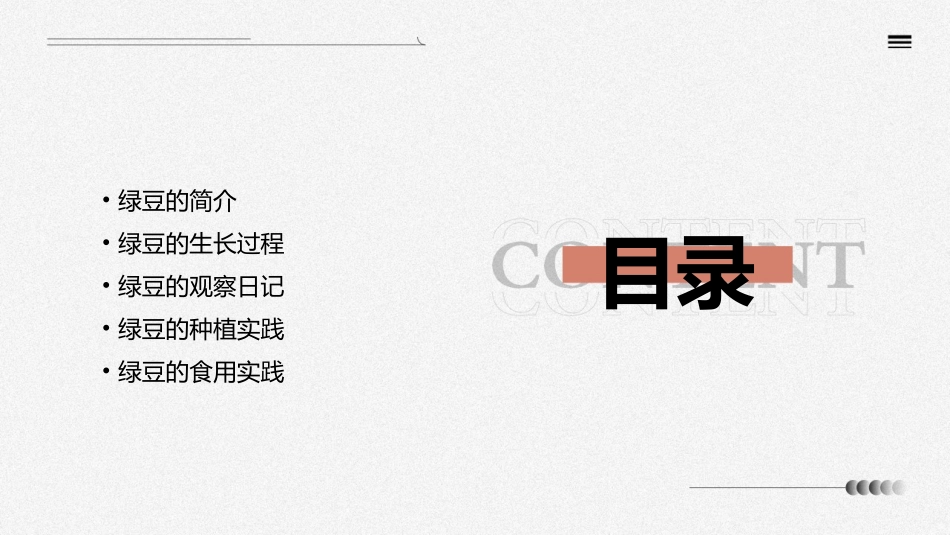 绿豆观察日记课件_第2页