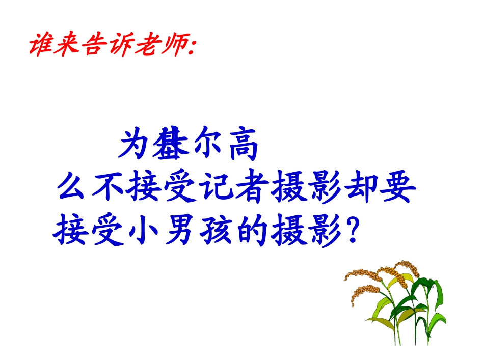 新课标人教版第五册语文小摄影师优质课件_第3页