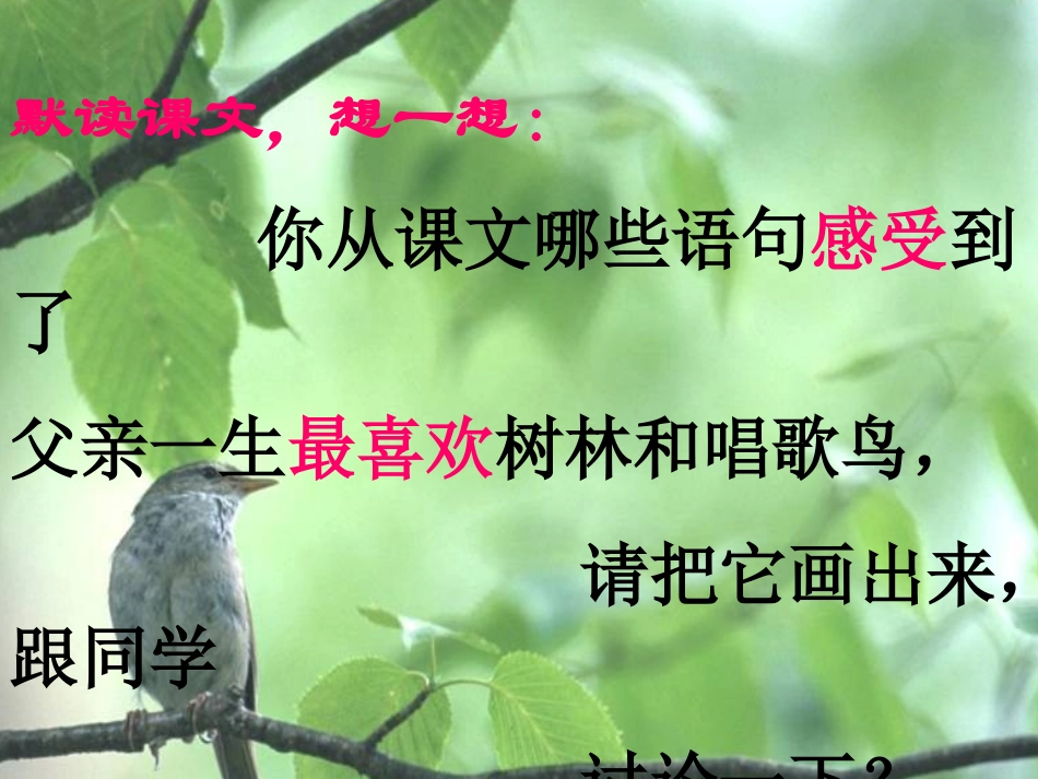 《父亲、树林和鸟》课件（语文S版三年级语文上册课件）_第3页