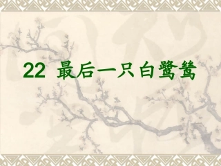 最后一只白鹭鸶