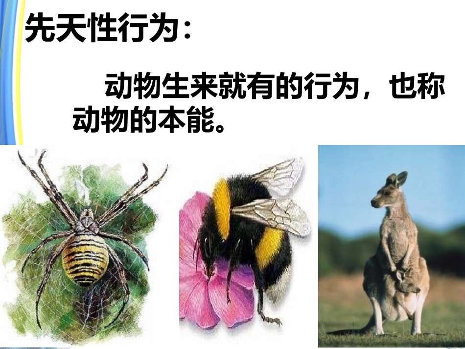 先天性行为和后天学习行为_第2页