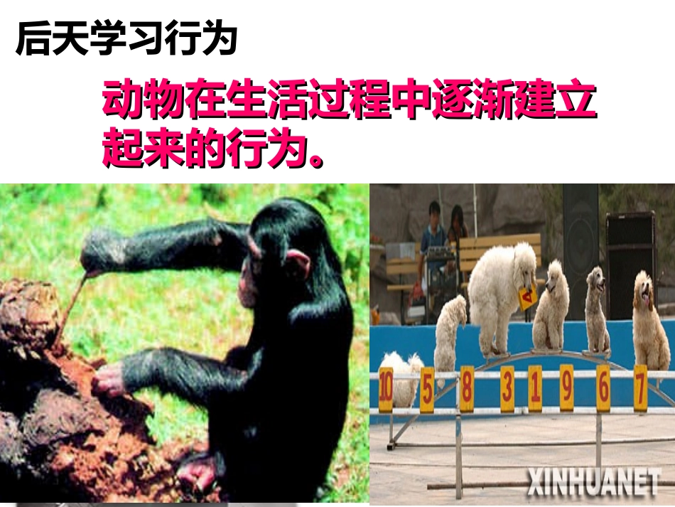 先天性行为和后天学习行为_第3页