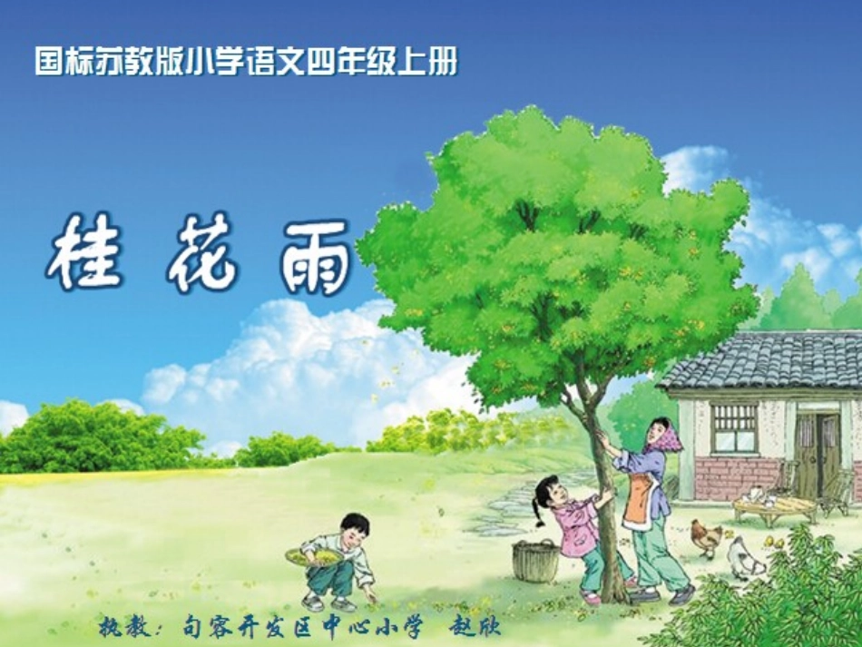 桂花雨yuan_第1页