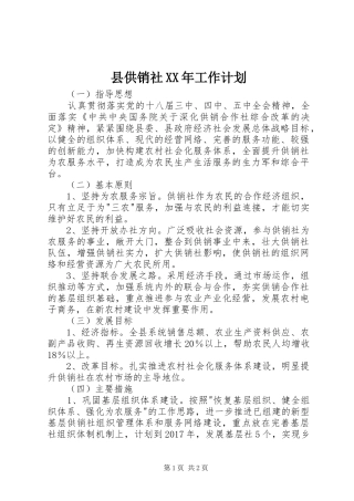 县供销社XX年工作计划 