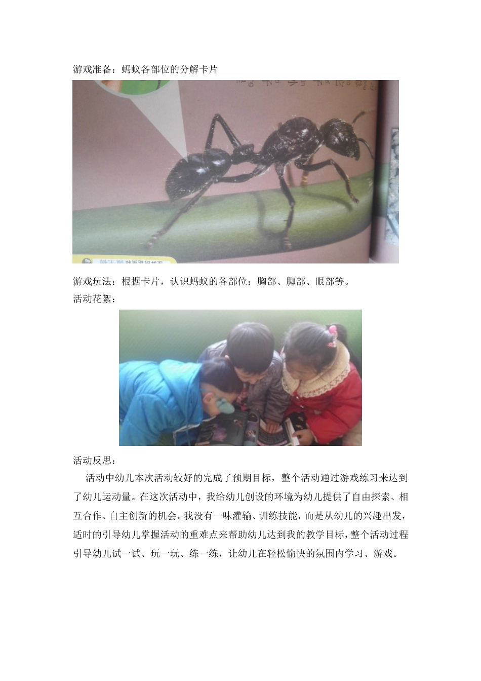 中班体育：蚂蚁搬家_第3页
