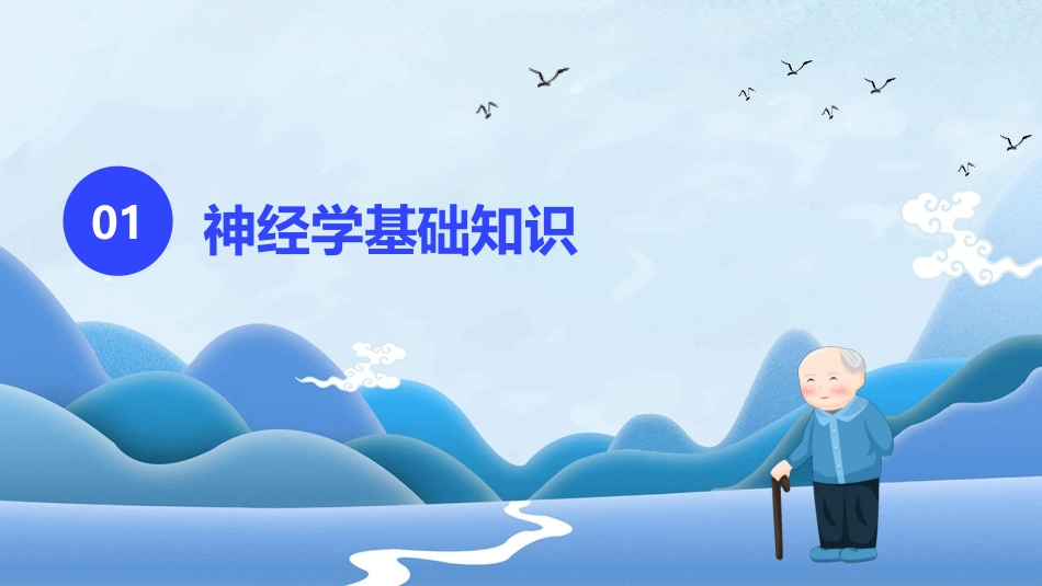 神经学与大脑功能的关系护理课件_第3页
