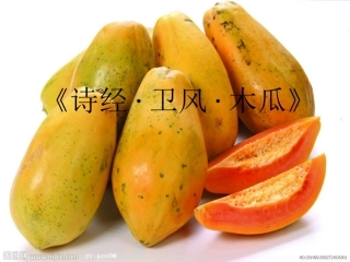 《卫风·木瓜》