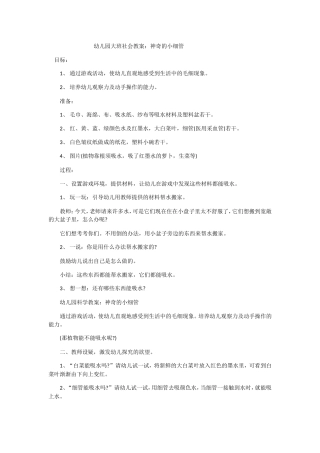 幼儿园大班社会教案：神奇的小细管