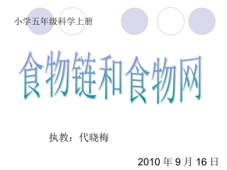 小学五年级科学上