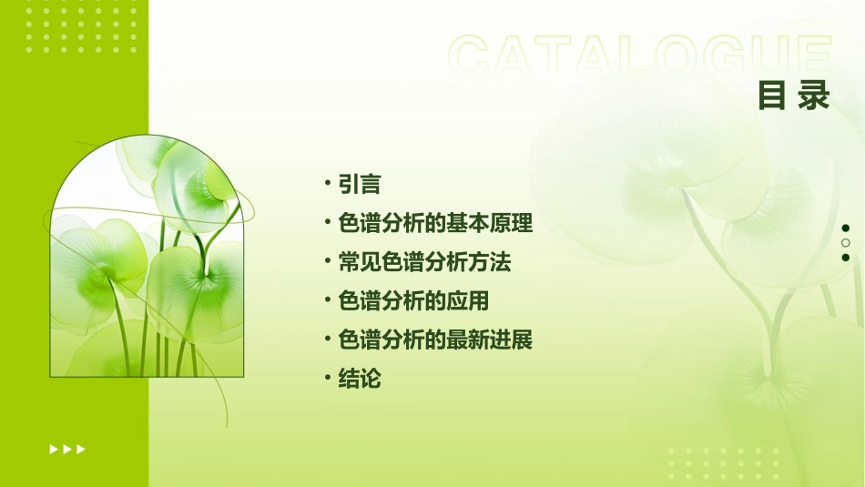 现代色谱分析课件_第2页