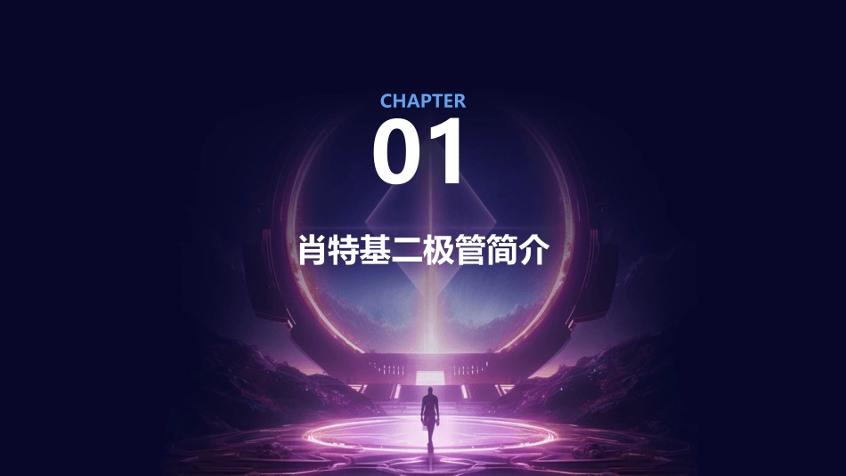 肖特基工艺流程课件_第3页