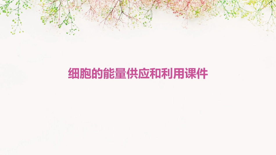 细胞的能量供应和利用课件_第1页