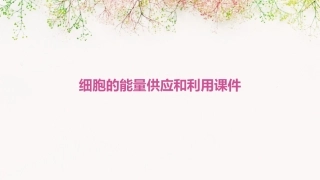 细胞的能量供应和利用课件