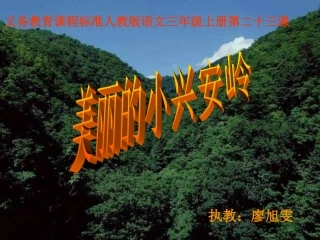 《美丽的小兴安岭》公开课课件