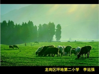 坪地第二小学李远强