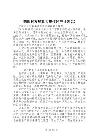 朝阳村发展壮大集体经济计划