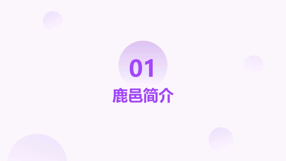 鹿邑经验分享课件_第3页