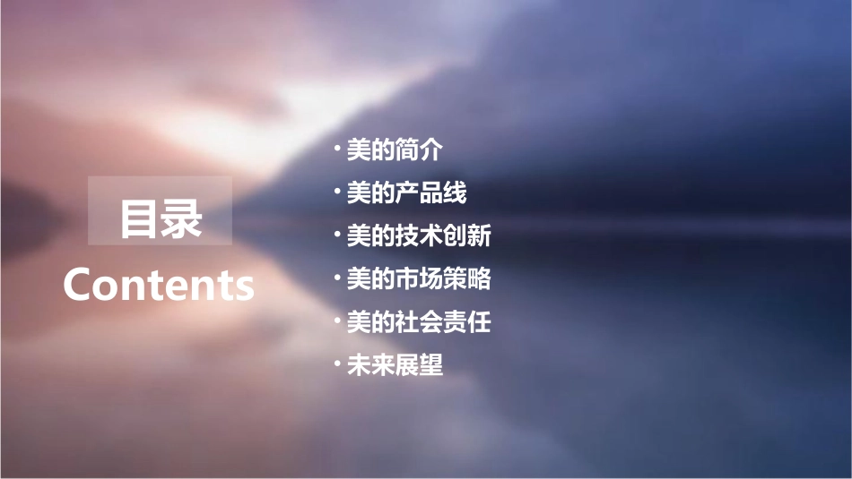 美的成功之路课件_第2页