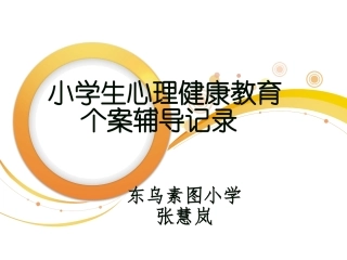 小学生心理健康案例分析张慧岚