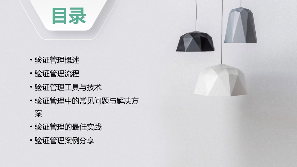 验证管理经验交流课件_第2页