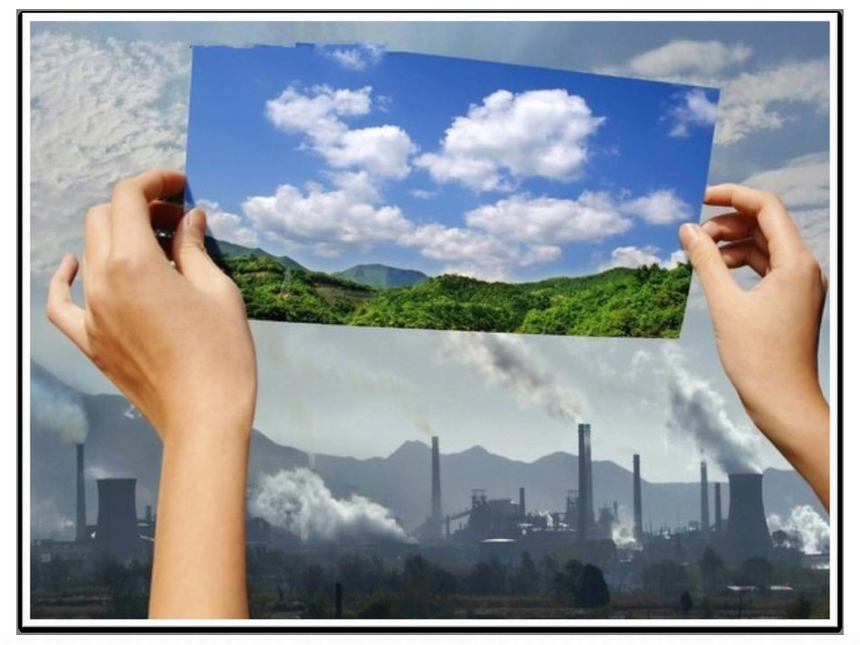 [中学联盟]江苏省南京市上元中学八年级英语下册《Unit8Agreenworld》Reading1课件_第2页