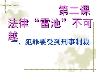 严守法律课件