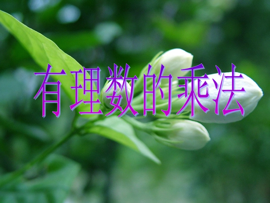 有理数乘法（第一课时）_第1页