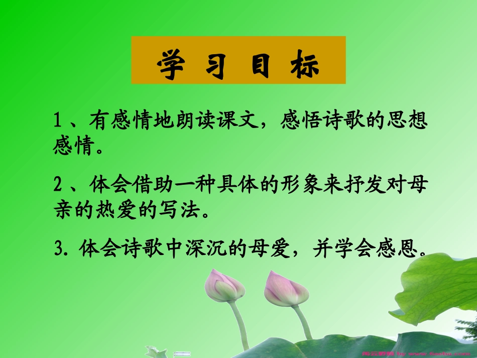 《荷叶母亲》参赛课件_第3页