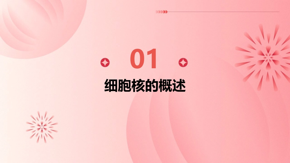 细胞核说课稿课件_第3页