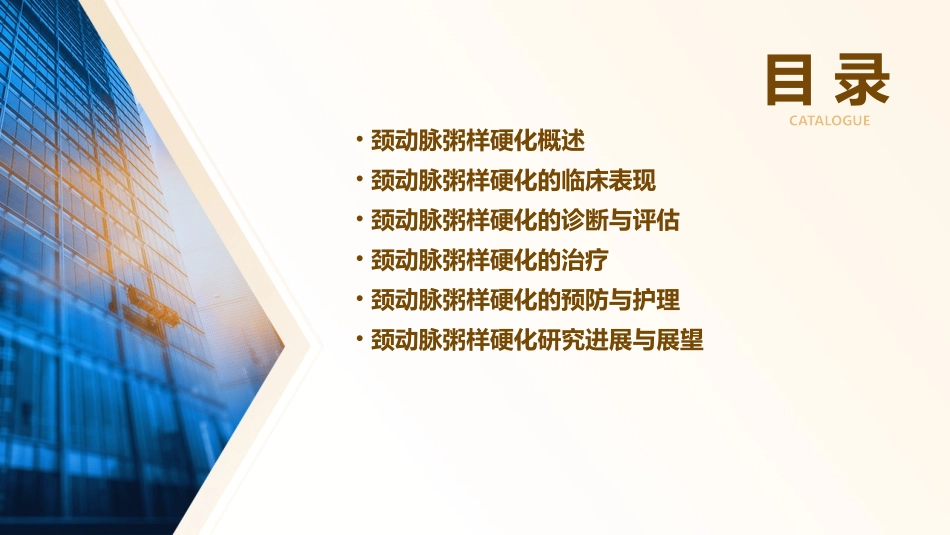 颈动脉粥样硬化课件_第2页