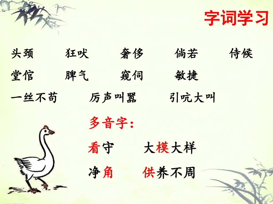 《白鹅》课件1_第2页