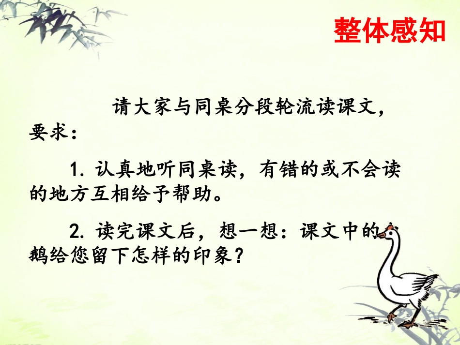 《白鹅》课件1_第3页