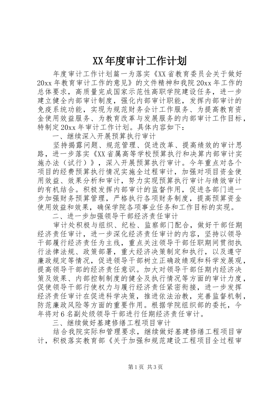 XX年度审计工作计划 _第1页