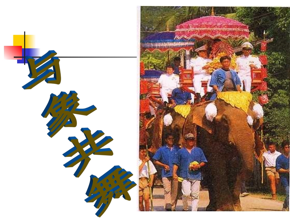 与象共舞课件 (2)_第1页