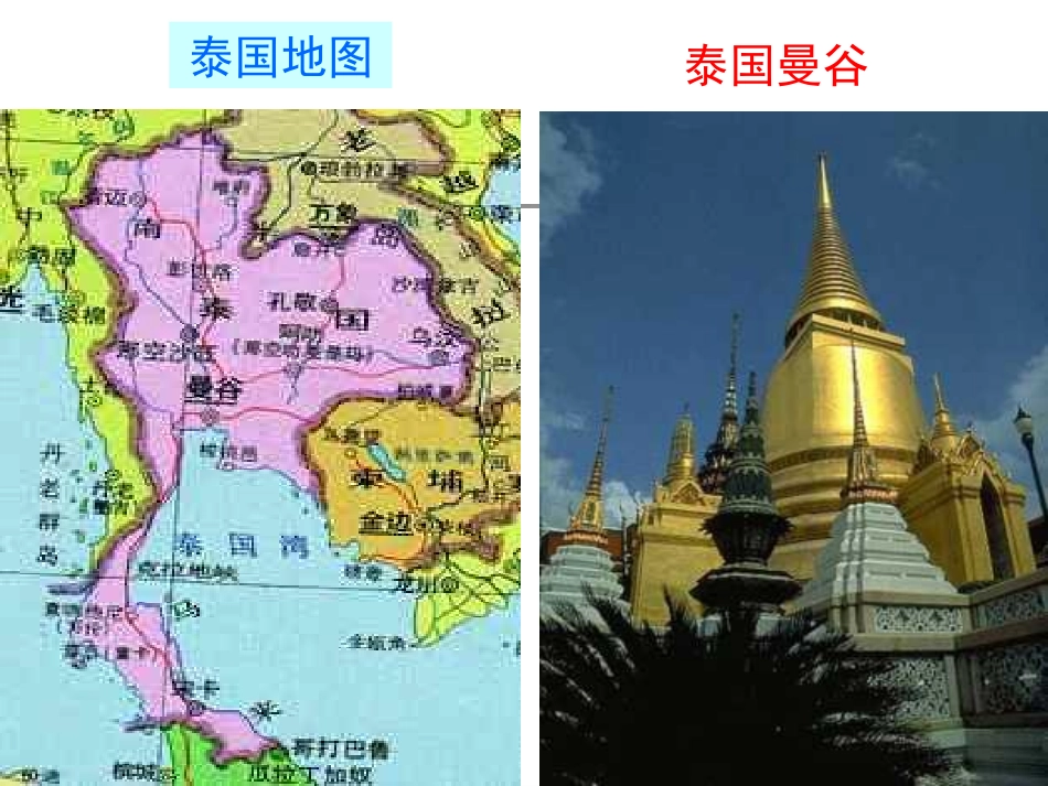 与象共舞课件 (2)_第3页