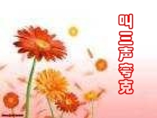 《叫三声夸克》课件