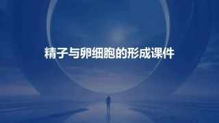 精子与卵细胞的形成课件