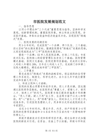 市医院发展规划范文 