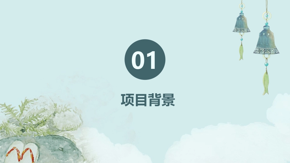 青白江亩项目可研报告课件_第3页