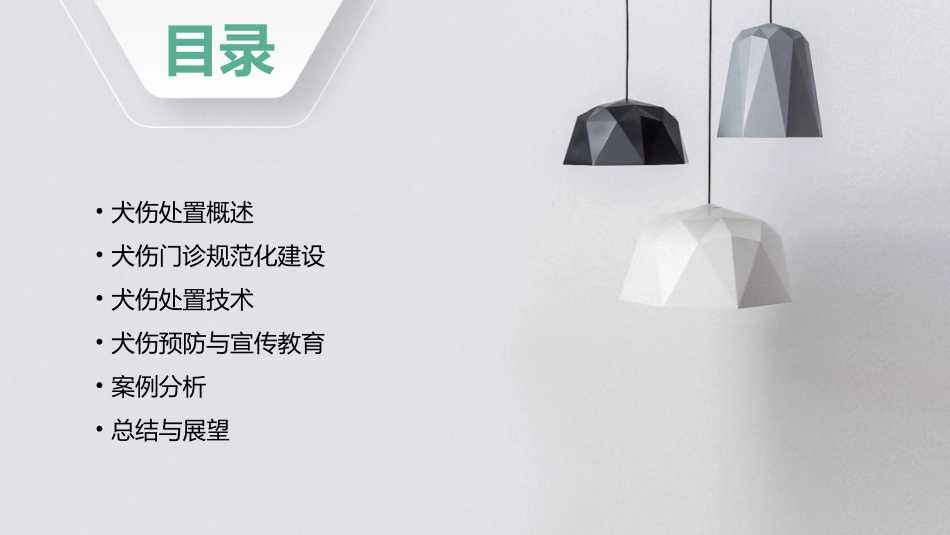 犬伤处置及犬伤门诊规范化建设(讲)资料课件_第2页