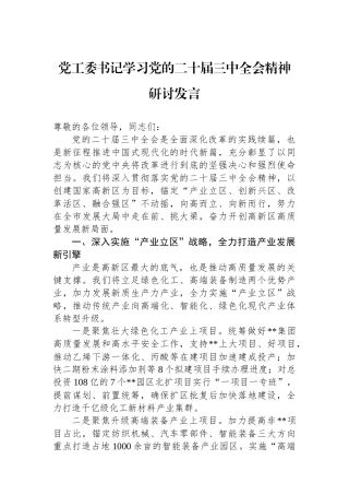 党工委书记学习党的二十届三中全会精神研讨发言