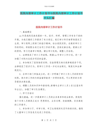 医院内部审计工作计划书与医院内部审计工作计划书开头汇编