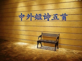 高中语文(中外短诗五首)课件 新人教版必修1 课件