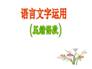 高考语文语言文字运用课件课件新人教版 课件