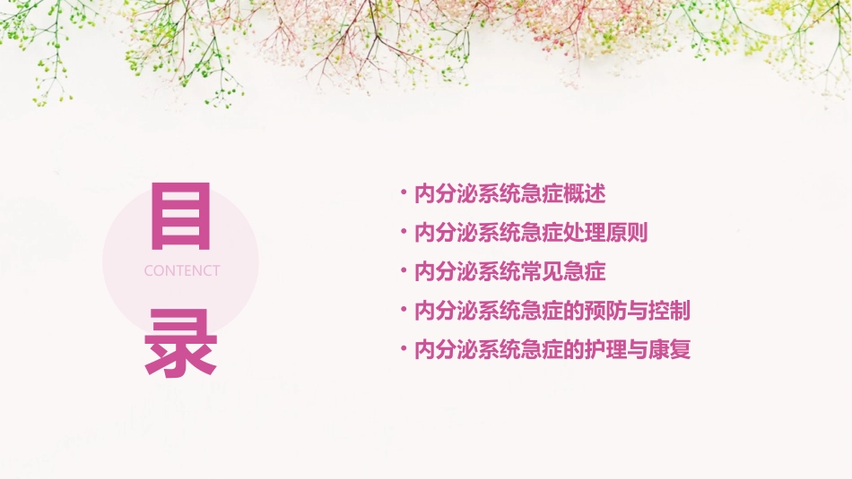 精品内分泌系统急症课件_第2页