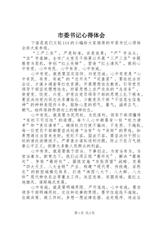 市委书记心得体会