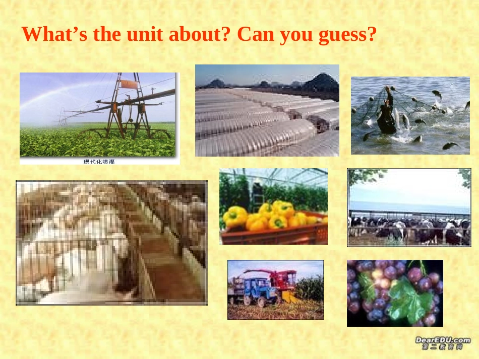 高一英语Unit19 Modern Agriculture 新课标 人教版 课件_第2页