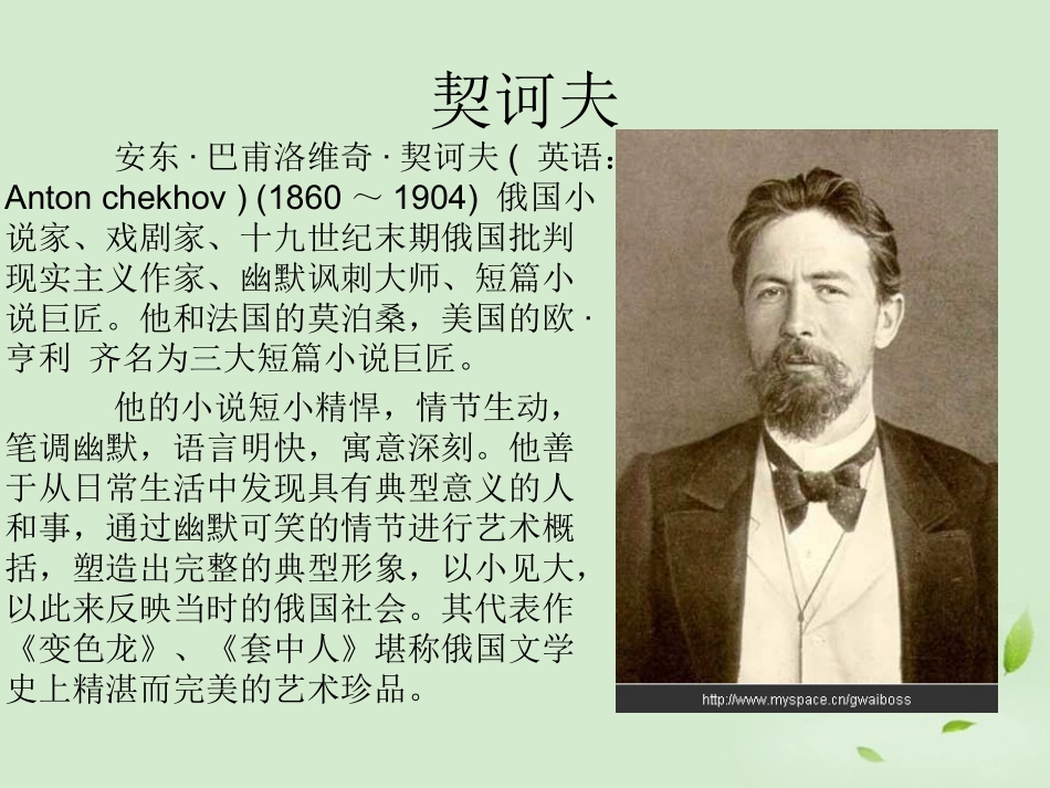 高二语文(装在套子里的人)课件1 课件_第1页