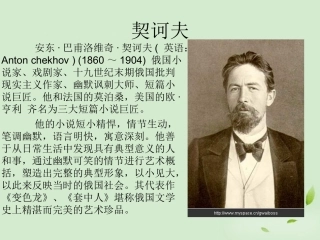 高二语文(装在套子里的人)课件1 课件