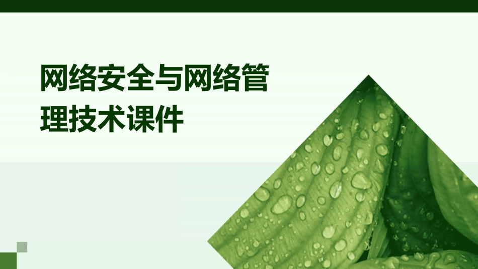网络安全与网络管理技术课件_第1页